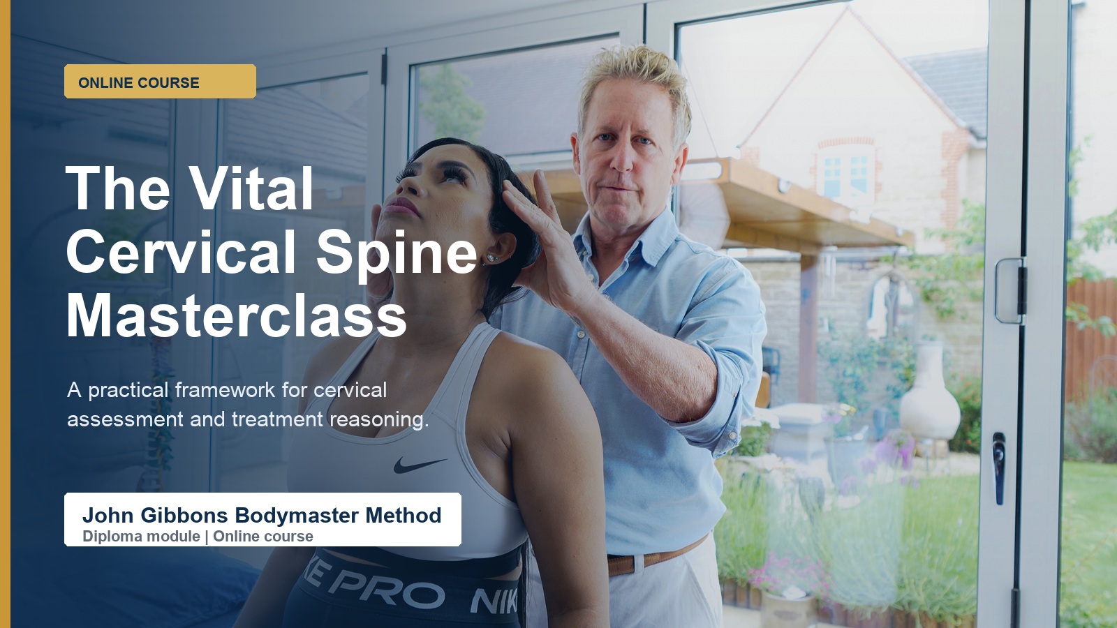 The Vital Cervical Spine course artwork