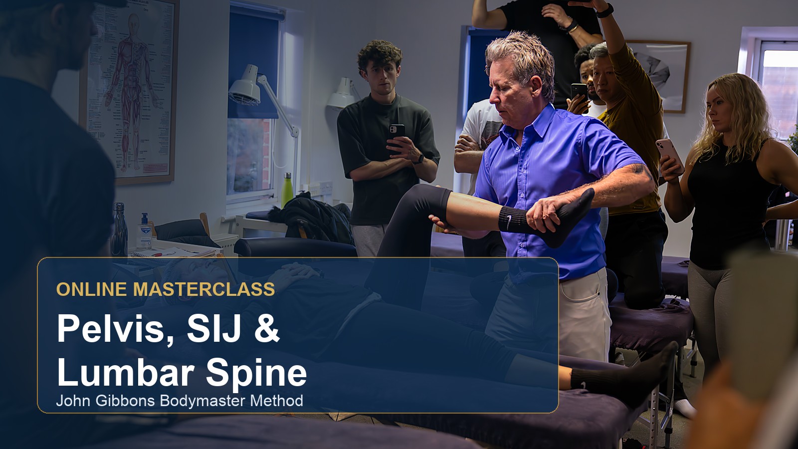 Pelvis, Sacroiliac Joint & Lumbar Spine course artwork