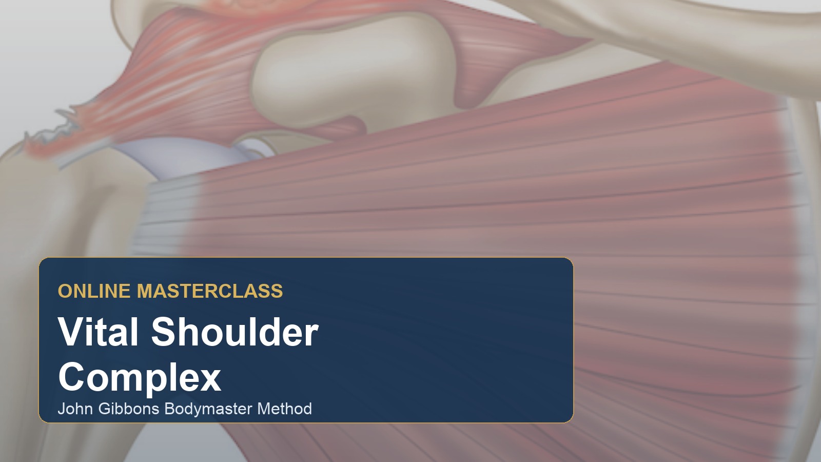 The Vital Shoulder Complex course artwork