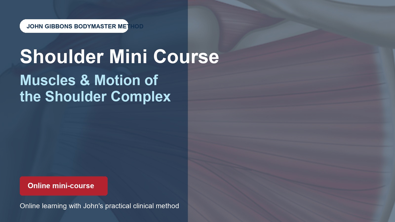Muscles & Motion of the Shoulder Complex