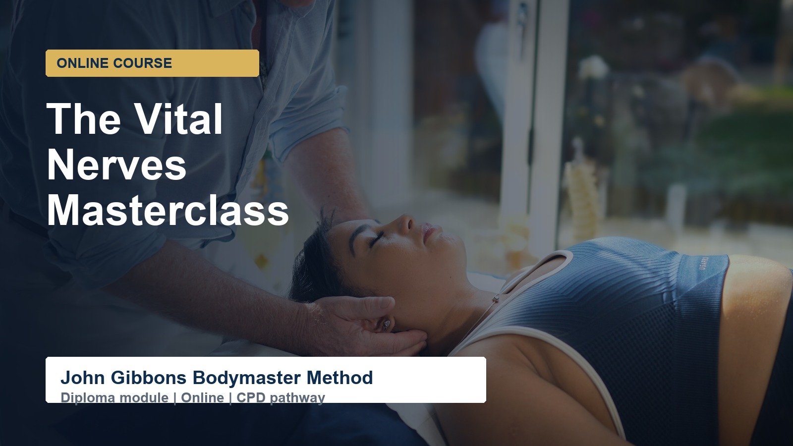 The Vital Nerves course artwork